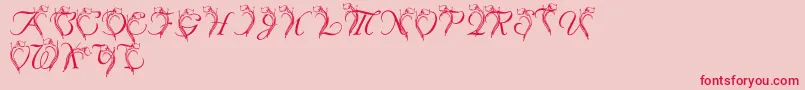 LmsCallaLily Font – Red Fonts on Pink Background