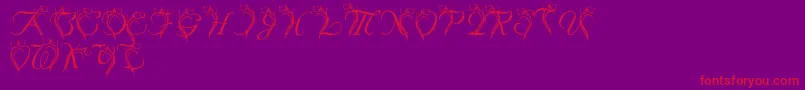 LmsCallaLily Font – Red Fonts on Purple Background