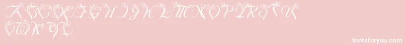 LmsCallaLily-Schriftart – Weiße Schriften auf rosa Hintergrund