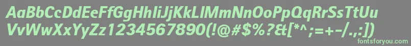 RotisIiSansProBlackItalic Font – Green Fonts on Gray Background