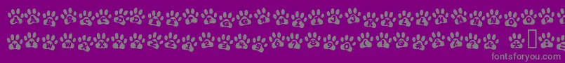 EnnobledPet-Schriftart – Graue Schriften auf violettem Hintergrund
