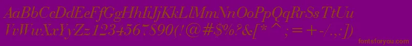 BauerBodoniItalicBt Font – Brown Fonts on Purple Background