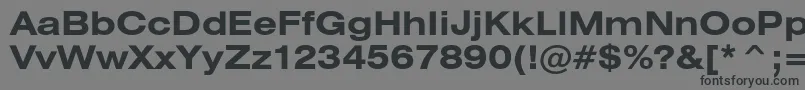 HeliosextcBold Font – Black Fonts on Gray Background