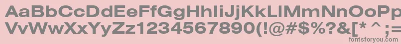 HeliosextcBold Font – Gray Fonts on Pink Background