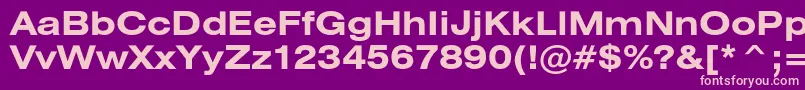 HeliosextcBold Font – Pink Fonts on Purple Background