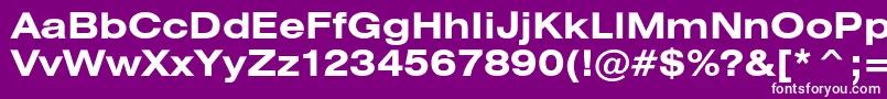 HeliosextcBold Font – White Fonts on Purple Background