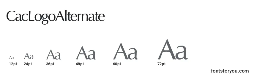 CacLogoAlternate Font Sizes