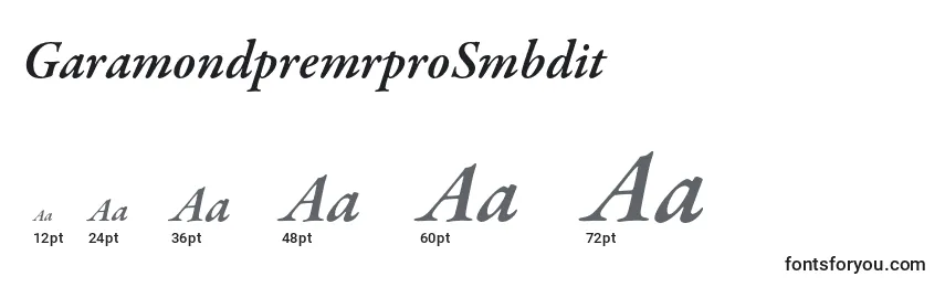 GaramondpremrproSmbdit Font Sizes