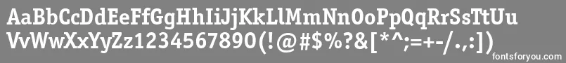 フォントOfficinaSerifItcBold – 灰色の背景に白い文字