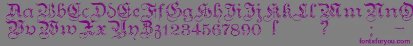 TeutonicNo4Demibold Font – Purple Fonts on Gray Background