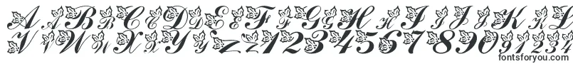 LmsHollyJollyChristmas Font – Uppercase Fonts