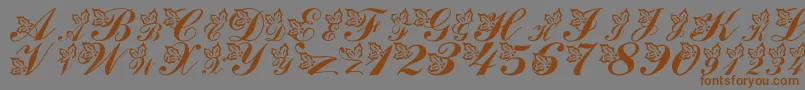 LmsHollyJollyChristmas Font – Brown Fonts on Gray Background