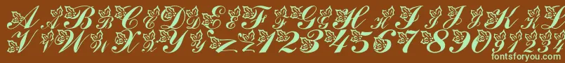 LmsHollyJollyChristmas Font – Green Fonts on Brown Background