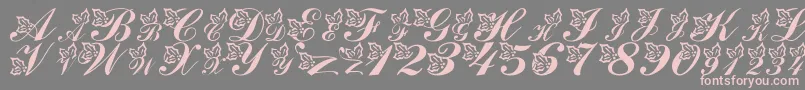 LmsHollyJollyChristmas Font – Pink Fonts on Gray Background