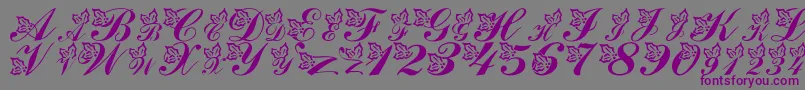 LmsHollyJollyChristmas Font – Purple Fonts on Gray Background