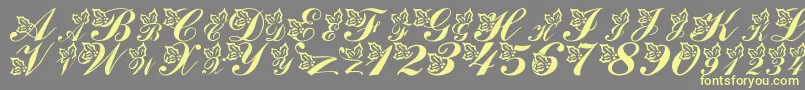 LmsHollyJollyChristmas Font – Yellow Fonts on Gray Background