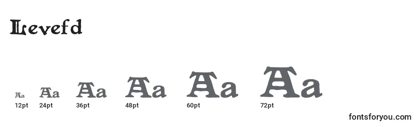 Levefd Font Sizes