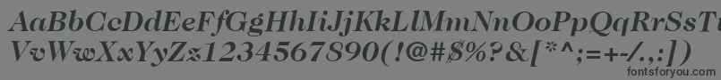 Шрифт ItcCaslon224LtBoldItalic – чёрные шрифты на сером фоне