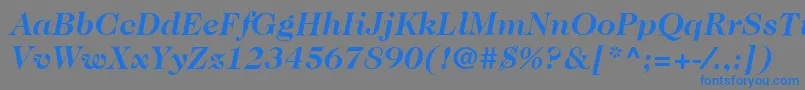 Czcionka ItcCaslon224LtBoldItalic – niebieskie czcionki na szarym tle