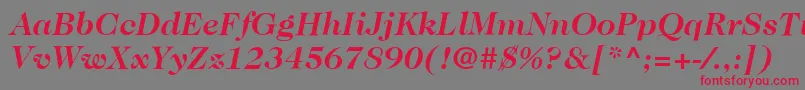 ItcCaslon224LtBoldItalic-fontti – punaiset fontit harmaalla taustalla