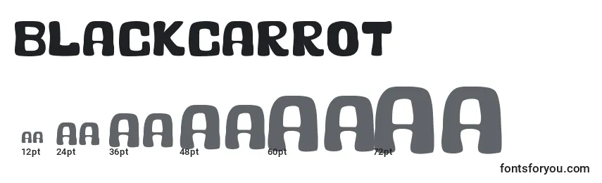 Размеры шрифта BlackCarrot