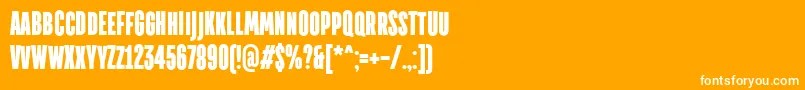 TtdirectorsdemoblRegular Font – White Fonts on Orange Background