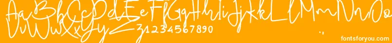 BudhayantiScript-Schriftart – Weiße Schriften auf orangefarbenem Hintergrund