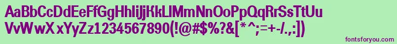 AGroticnrextrabold Font – Purple Fonts on Green Background