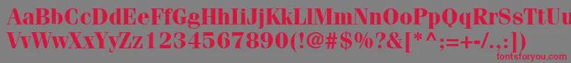 ItcFeniceLtBold Font – Red Fonts on Gray Background