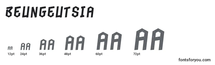 Размеры шрифта BeungeutSia