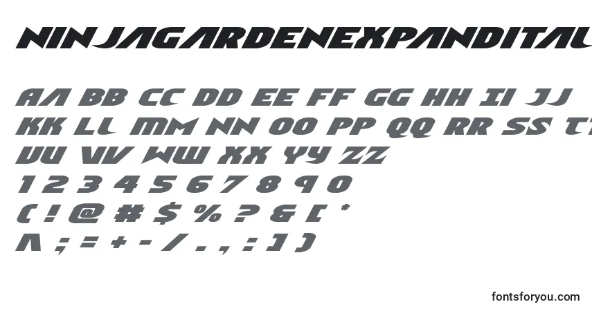 Шрифт Ninjagardenexpandital – алфавит, цифры, специальные символы