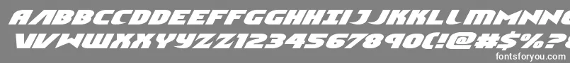 Ninjagardenexpandital Font – White Fonts on Gray Background