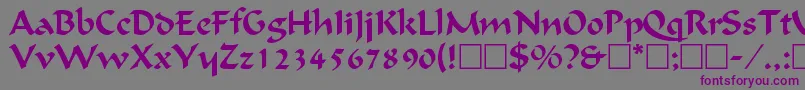 Czcionka CalligraphicRegular – fioletowe czcionki na szarym tle