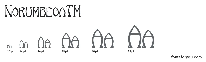 Размеры шрифта NorumbegaTM