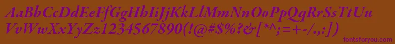 GaramondpremrproBdit Font – Purple Fonts on Brown Background