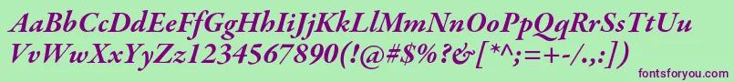 GaramondpremrproBdit Font – Purple Fonts on Green Background