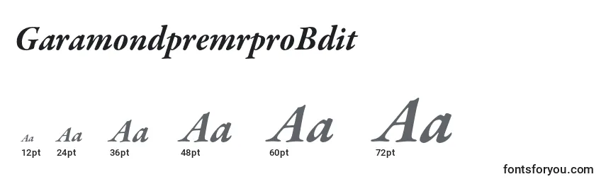 Размеры шрифта GaramondpremrproBdit