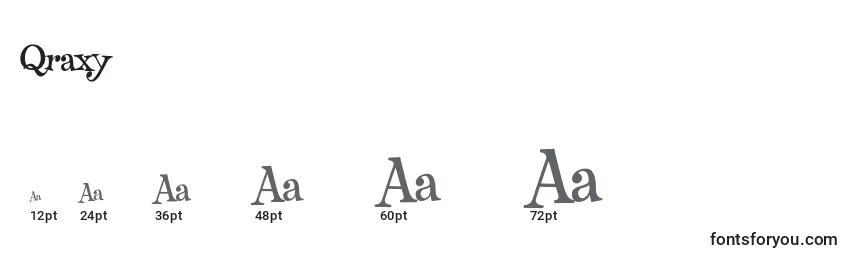 Размеры шрифта Qraxy (91593)