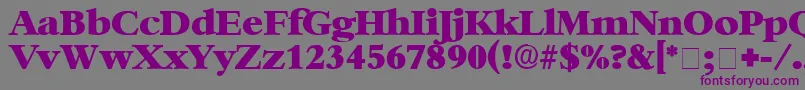 IngenueDisplaySsi Font – Purple Fonts on Gray Background