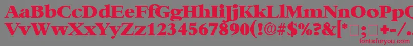 IngenueDisplaySsi Font – Red Fonts on Gray Background