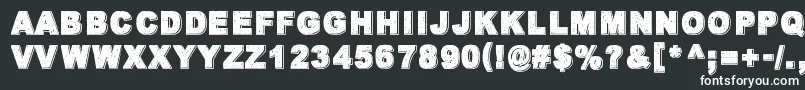 WalkWithMeNow Font – White Fonts