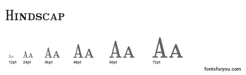 Hindscap Font Sizes
