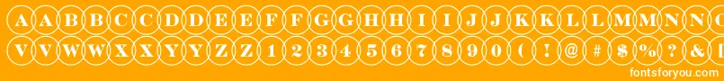 ADiscoserifovl Font – White Fonts on Orange Background