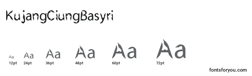 Размеры шрифта KujangCiungBasyri