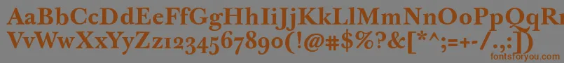 フォントJbaskervilletmedBold – 茶色の文字が灰色の背景にあります。