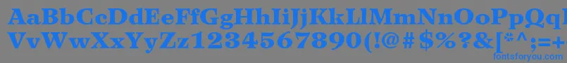 WilkeLt95Black Font – Blue Fonts on Gray Background