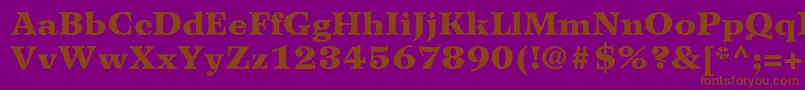 WilkeLt95Black Font – Brown Fonts on Purple Background