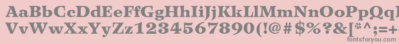 WilkeLt95Black Font – Gray Fonts on Pink Background