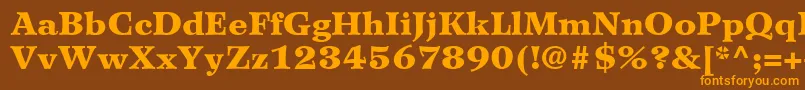 WilkeLt95Black Font – Orange Fonts on Brown Background