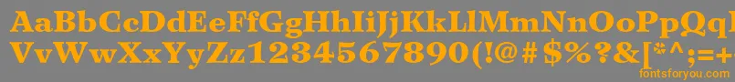WilkeLt95Black Font – Orange Fonts on Gray Background